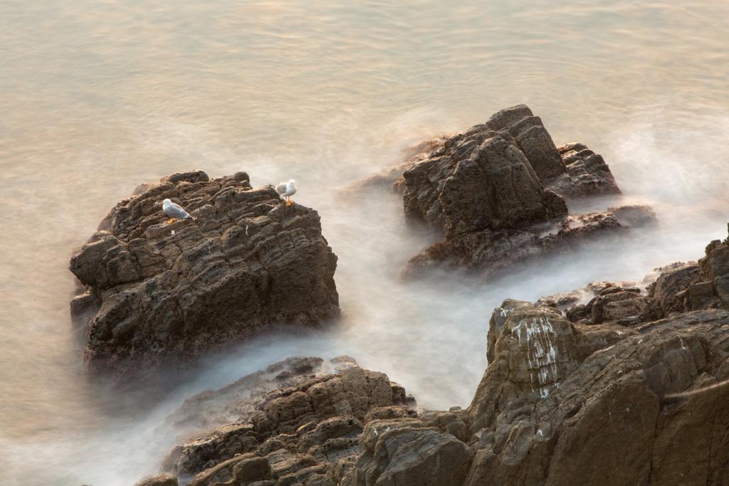 Mare Dentro Otel Riomaggiore Dış mekan fotoğraf
